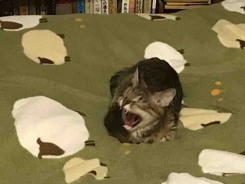 89AB836F-FFEC-497C-823F-1D88D68D6784