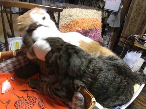 255B401A-2297-4142-BC10-8EDA96C0F4E9