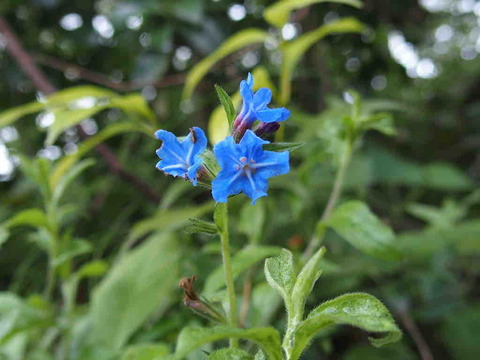 D7C05211-3E71-471E-BCDB-0D9D831F4D75