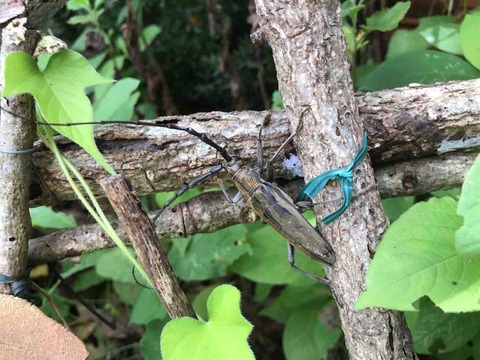 3224B368-3303-4791-952D-A8C494B52622