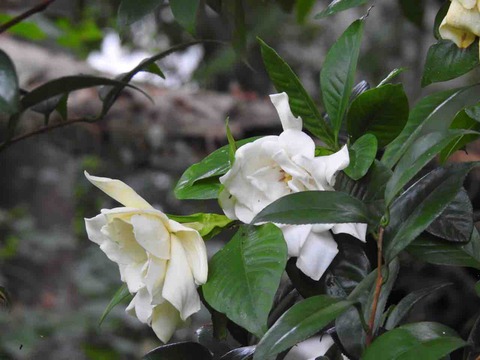 FEC67413-18FC-460C-A5C1-6F32B00ACFE3