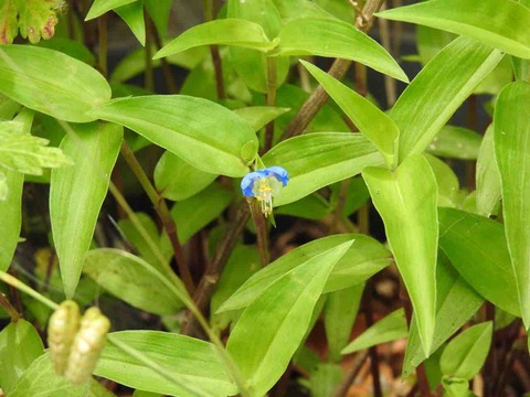 092602DA-5014-4758-8596-990A89DDDC79