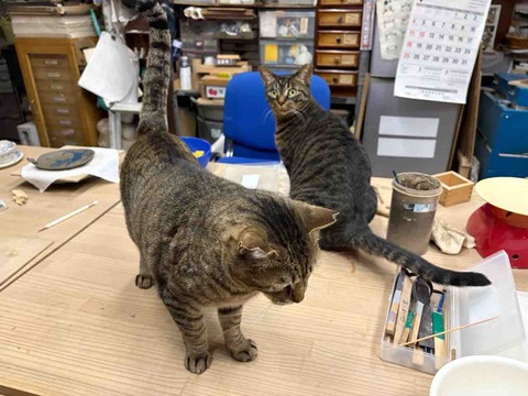 81E326FD-49B8-43F7-B502-3DA68BB80616