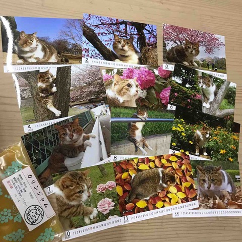 DA9C99D9-7BFF-473E-8B5C-A7C5BCA9E450