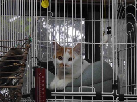 F82F5294-6CB8-4E0A-8135-44CCD6A3E7DF