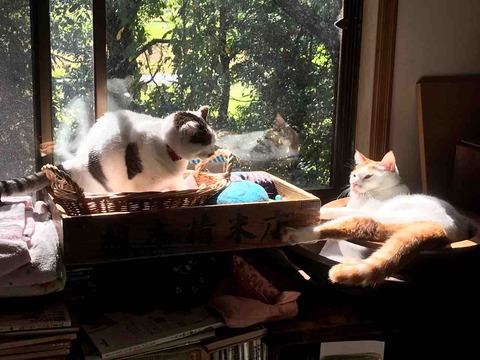 F6A30353-F01B-4C32-8BA4-1C8D0087410F