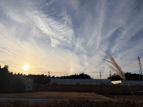 E98A47B3-843E-4AFE-AF81-8261F02141A2