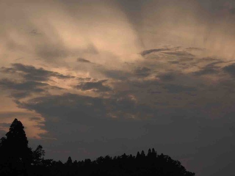 AC2AD5C1-2442-4AF5-8AD9-00B9EB5EC66D