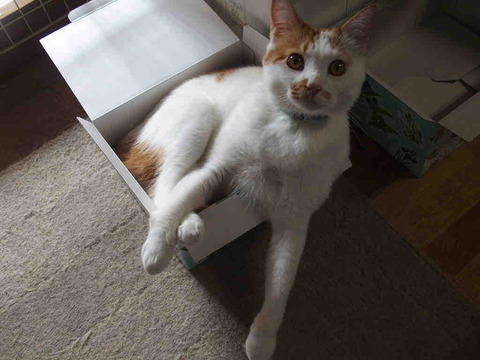 99655B6D-BACB-4223-8CE3-A520238F6942