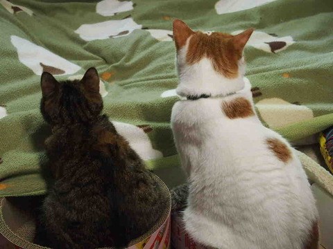 E724FD6D-A4A6-46BA-B72E-38330153AB52