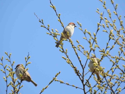 59F9ED05-75BB-4F12-A852-14665E13F0DA