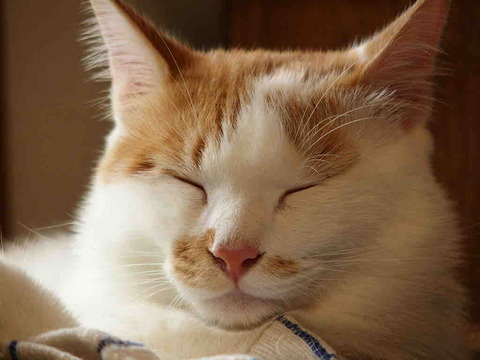 73FB3E60-D032-4F23-B330-5609176BD8E0