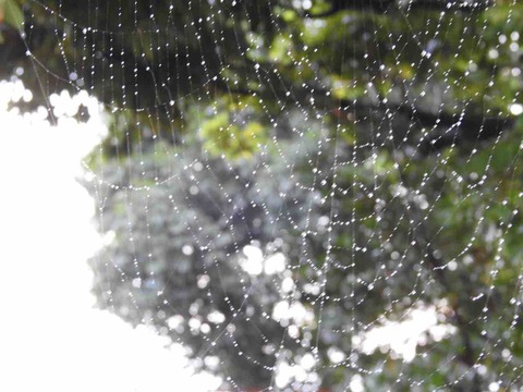 FE17B099-C1E4-4964-8BB6-F1F5EE24B547