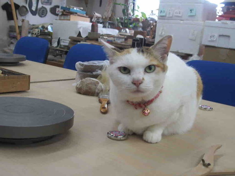 D5DA5E3A-93CF-4F0C-848A-631F69FEA5F8