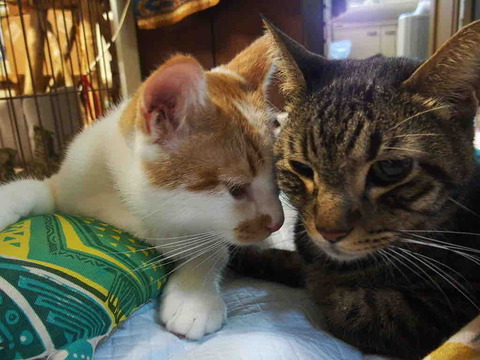 BED4A6D4-D38C-4DCF-9397-1B126C98D392