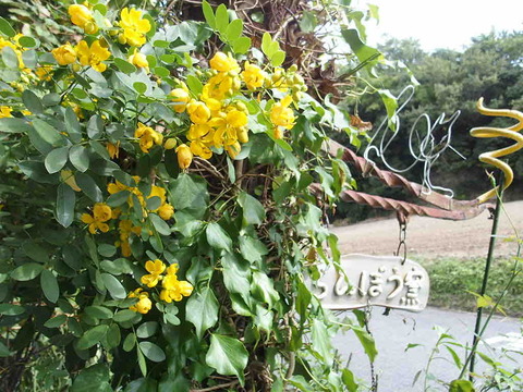 0C027443-7A38-4274-A3EC-D0461B5EB3D5