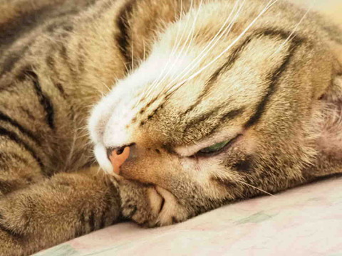 EDDE916E-E7EA-4A4D-B1FC-106BACE95BB1