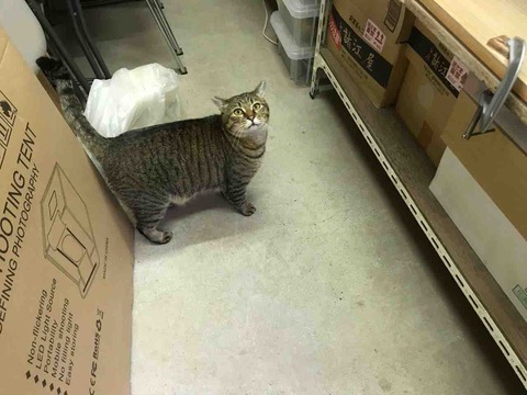 D089F82E-1B30-416C-A96F-3A1D47E1DB81