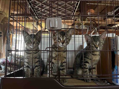 862A5DEA-1DA1-4EE9-8734-E97BC15C2DA6