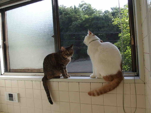 A14CD7EE-3D2D-4377-B0D9-722922AD86B0