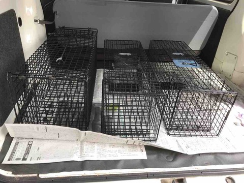 D757AB2B-0BAF-464D-AAA3-01B7C24422D4