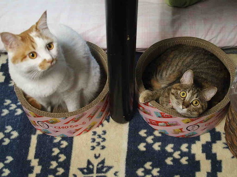 5EECFCEE-0AED-4AC0-A1A7-DA90D773AAB8