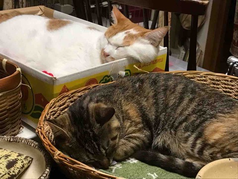 1BE14677-BDD9-4022-9FC5-212B7FA18D56