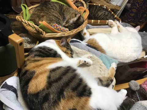 671B1157-C2E7-4D36-A108-E16A66EE1662