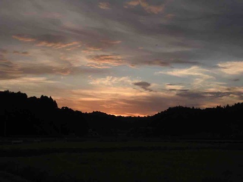 43CE7C3E-7A6E-4879-8260-BA66BB58B8B6