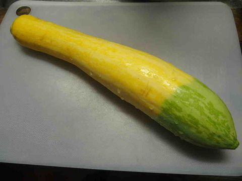 2BD0075D-28DD-4F1C-A595-3EFF4569058E