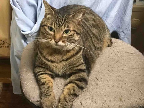 EAC4ECDB-50FE-40EE-B84B-ACF5358FC088