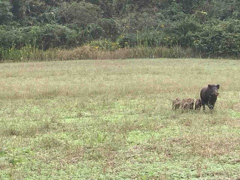 988ACDE4-2B21-4302-8DDD-80FF65A62C05