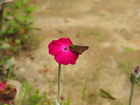 34E96181-2DFF-4BC3-8F8E-F17419147EDE