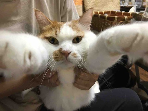 93F7CB6A-BEA4-4C74-B502-DD436A2E5F80