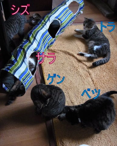イメージ 4