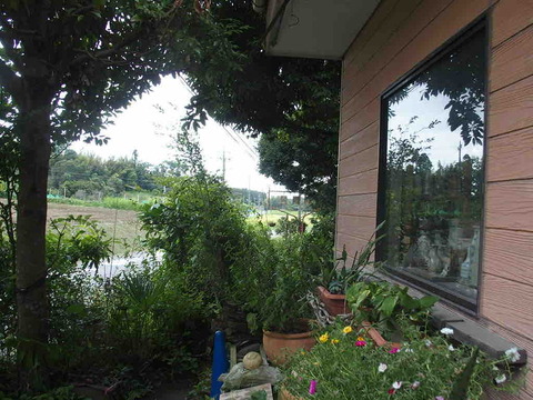 865FF18D-C156-42C1-B050-11EE06883674