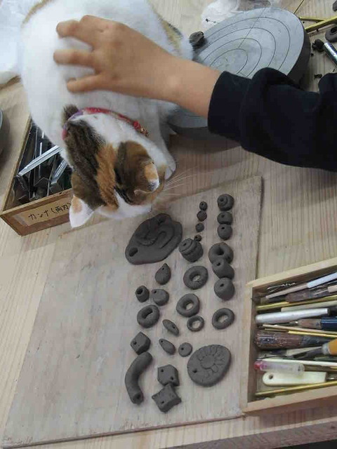 77CB1FAD-6E6C-4092-B34A-2EA18B4914DC