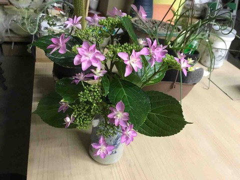 9A227148-1088-4410-BFCD-1E6E4BD072E1