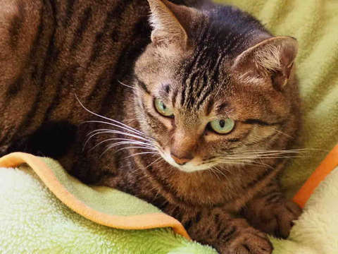 7C920B7A-E252-475B-806D-A151976CB4C3