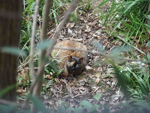 F96F5AE8-46CD-4A84-B7AA-D1ACC3826CAC