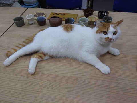 7A706035-457C-4AEF-A8A5-F958105B2F74