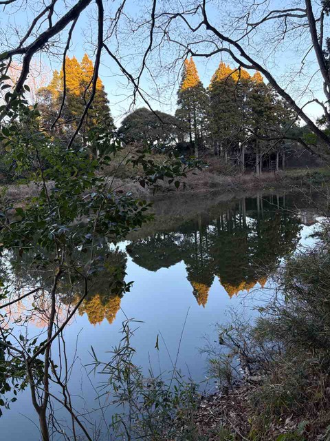 CDB70354-9746-4118-8109-06563E3C9158