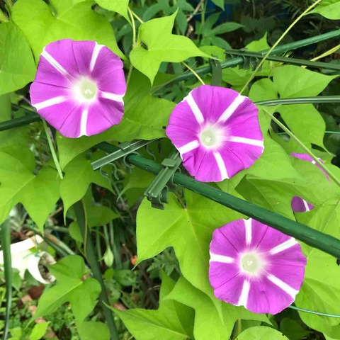 7919F6F7-C6B2-4340-A135-B78D4629106C