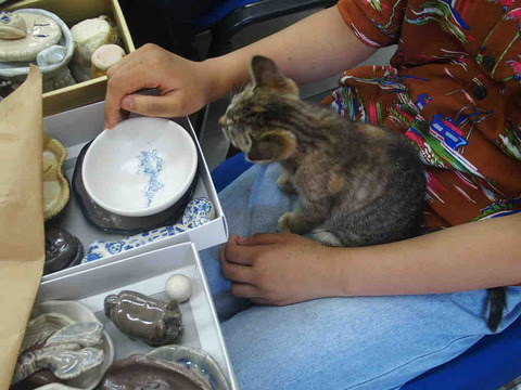 BC589037-F37B-4DE0-9C19-83E59AB98E61