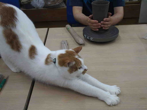 74D80DE0-C175-4F39-831D-0CAF0A239785