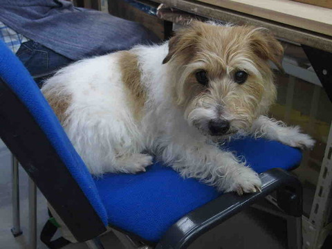 AC24601F-A3CD-4713-B52C-684D260B65A2