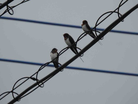 F2B3F47B-7D1B-43DF-B183-12F4594A2896