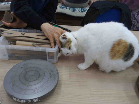 178DF495-8DDB-4D86-8F46-26FFAB98BDBF