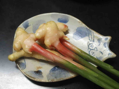 13853038-CCB8-4B7B-8FC3-92FFAD4E5E34