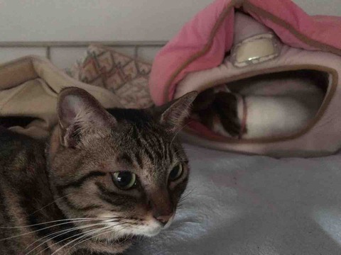 851F208B-67C2-4E29-B303-4D3805B2D8CB